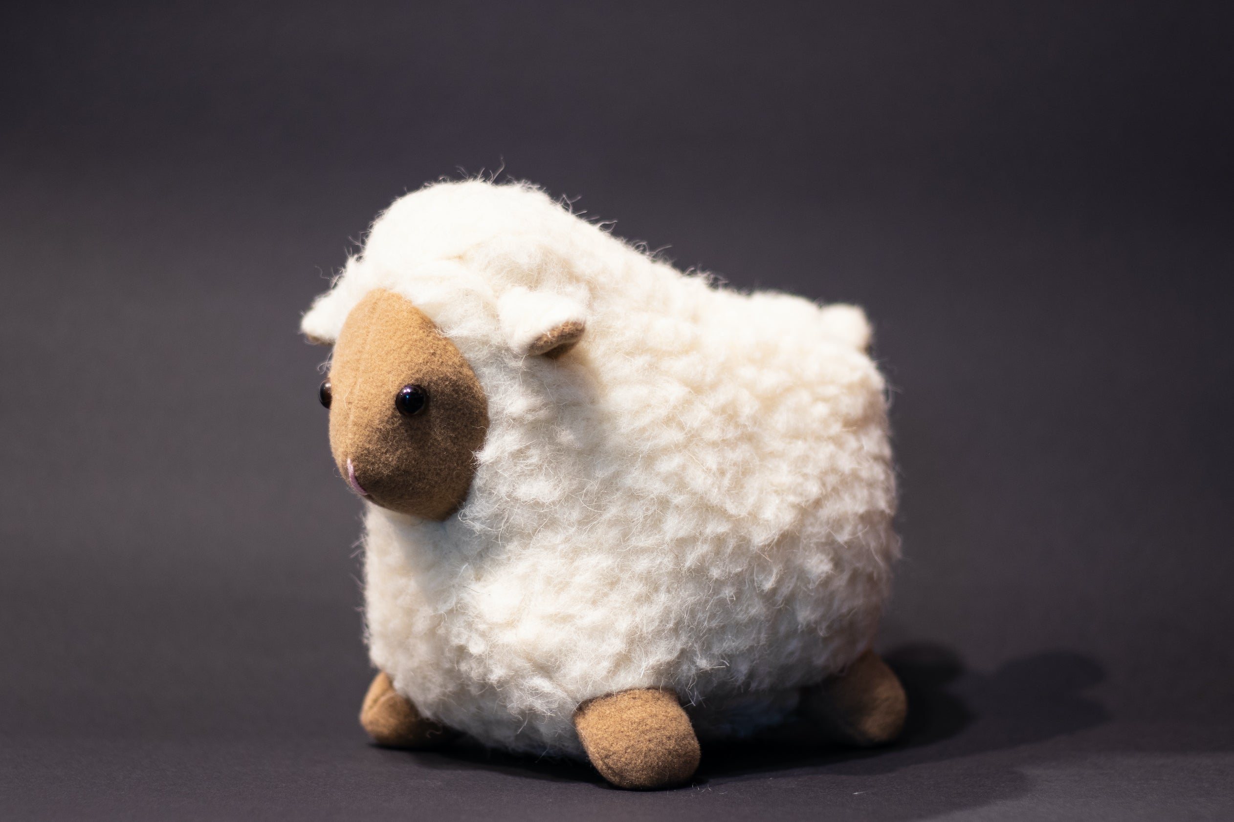 Sári merinói gyapjú bárány