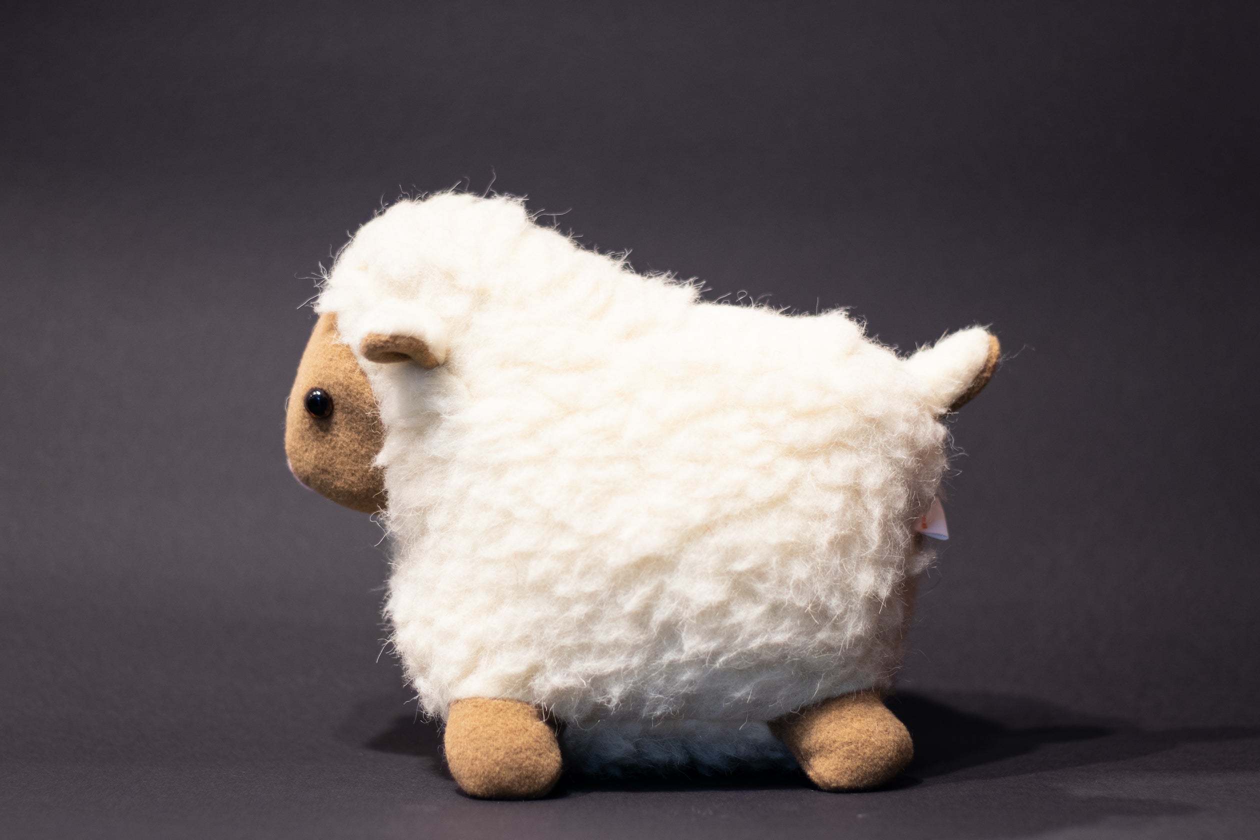 Sári merinói gyapjú bárány